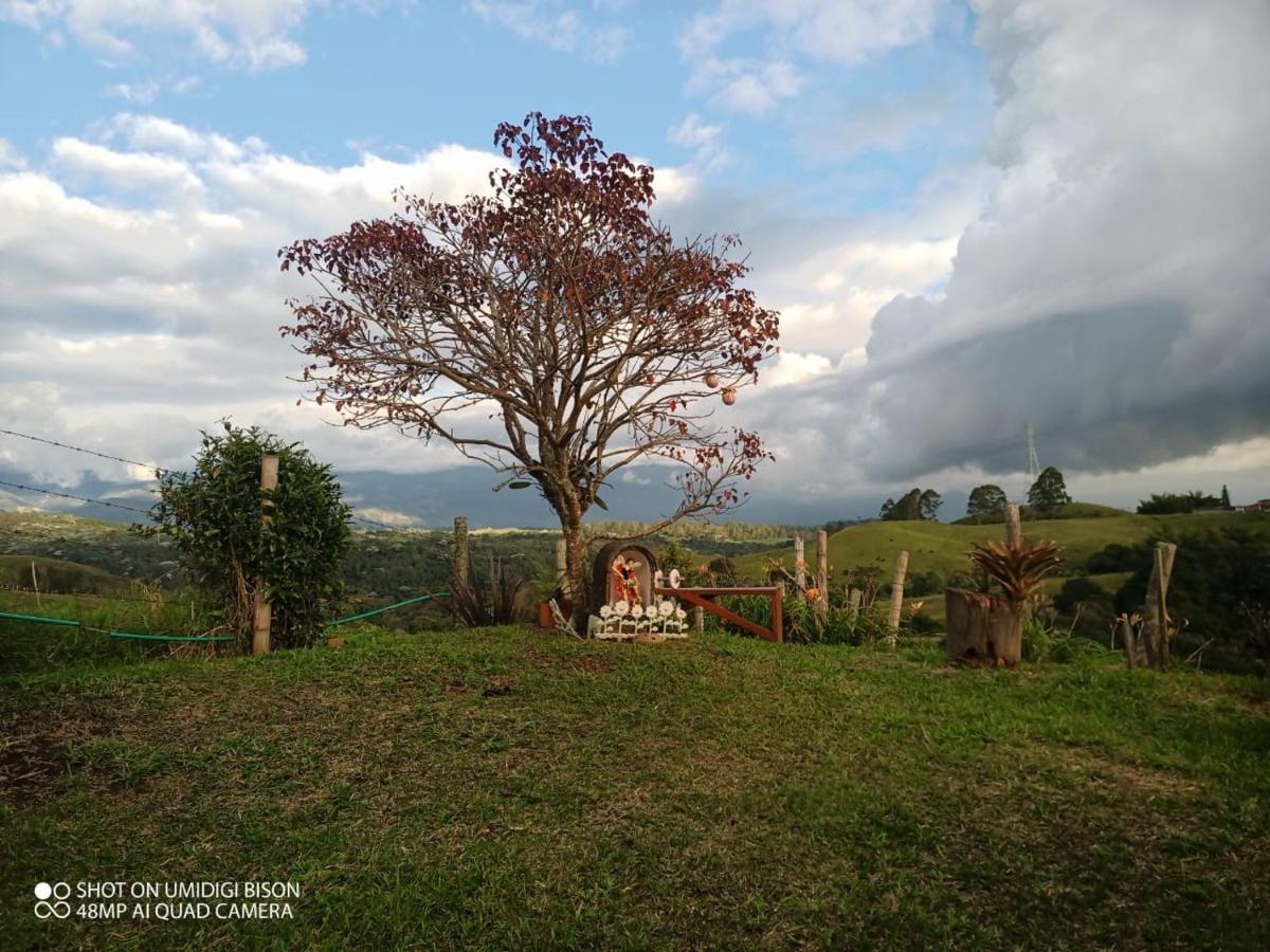 CABANA LOS COCUYOS FILANDIA (Colombia) - from US$ 35 | BOOKED